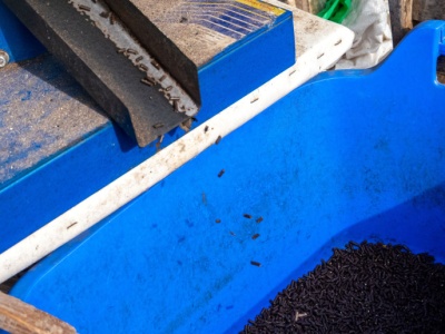 Tańszy niż pellet i bardziej grzeje. To paliwo ma być hitem zimy