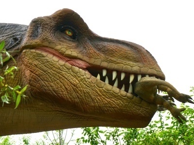 Polska górą. Dino jest już większe niż Carrefour