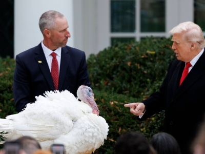 Tradycji stało się zadość. Trump ułaskawił dwa indyki