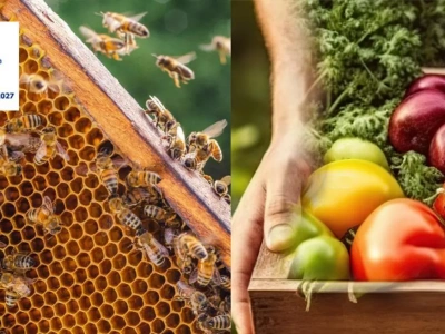 28 listopada – ostatni dzień ubiegania się o wsparcie dla pszczelarzy i premię dla małych gospodarstw