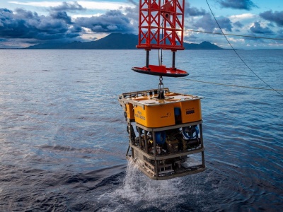 Oceaniczna anomalia u wybrzeży Papui Nowej Gwinei. Zdalnie sterowane łodzie weszły w kontakt z tamtejszym życiem