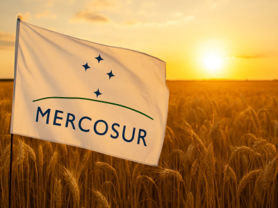 Umowa UE–Mercosur zwalnia. Wniosek „został wycofany”