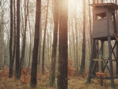 Wypadek na polowaniu. Polująca kobieta postrzeliła spacerowiczów. Trwa śledztwo