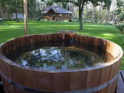 Nie każda aktywność to firma: jakie działania rolnik może wykonywać bez rejestracji?