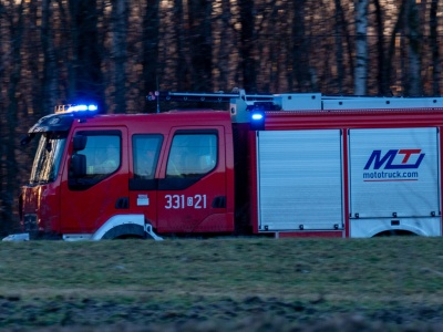 Pożar wędzarni w miejscowości Dalwin. Z ogniem walczy dwanaście zastępów ratowników