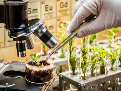 NGT w rolnictwie: apel europejskiego sektora rolno-spożywczego o szybkie decyzje UE