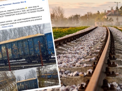 20 wagonów kukurydzy budzi emocje. Rolnik ostrzegał, MRiRW odpowiedziało