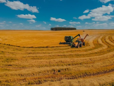 Zboża, kukurydza, słonecznik – 1:0 dla Ukrainy
