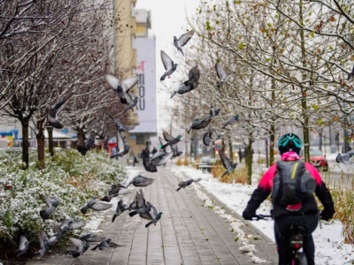 Pogoda na czwartek. Śniegu zdecydowanie mniej
