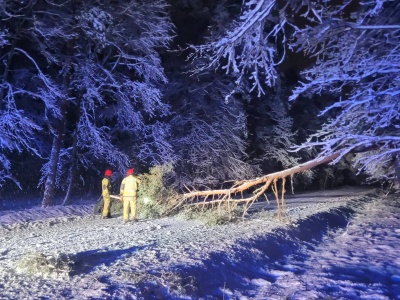 Przewrócone drzewa, powalone słupy energetyczne. Strażacy pracowali całą noc