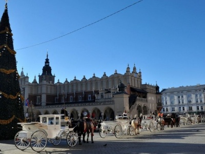 Coś nietypowego dzieje się z pogodą w Polsce. W grudniu ciepło jak w maju
