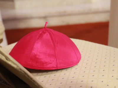 Indyjski ksiądz został biskupem w Niemczech