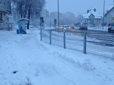Trochę śniegu i już problemy - dlaczego zgasło światło w powiecie trzebnickim?