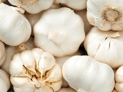 Czosnek z Egiptu zaleje rynek? Czy polscy producenci mają powody do obaw?