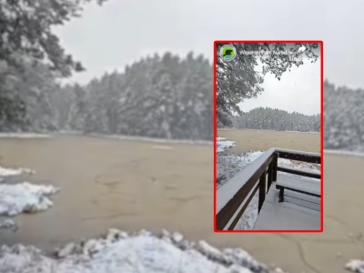 Jezioro walczy z humusem? Woda zamieniła się w brązową maź. 