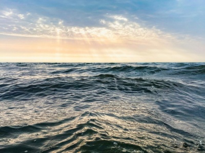 Bałtyk i Morze Północne zanieczyszczone środkami kontrastującymi MRI