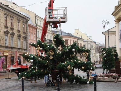 Choinka przed ratuszem już stoi. Wraz z ozdobami rozbłyśnie tydzień wcześniej niż zwykle