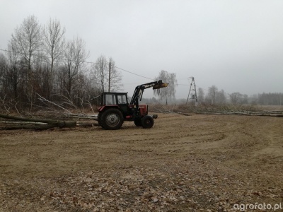 Wycięcie drzewa na działce rolnej. Nawet 34 tys. zł kary za jedno drzewo. Jak ich uniknąć?