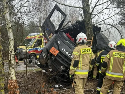 Drzewo przeszło przez lewy narożnik kabiny, kierowca przeżył wypadek