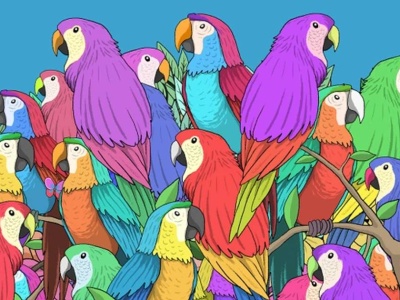 Zagadka na spostrzegawczość. Znajdź motyla wśród kolorowych papug