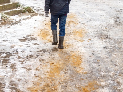 Odśnieżanie – obowiązki zarządcy