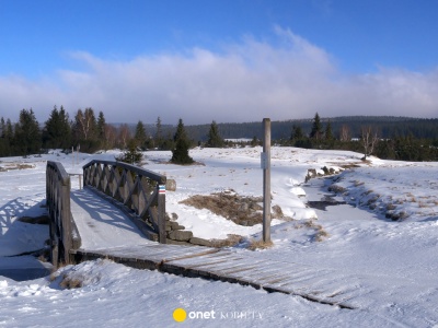 Najzimniejsze miejsce w Polsce kryje się w Sudetach. Nie Suwałki, lecz mała górska polana
