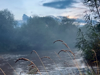 Wędkarz nie miał sobie równych. Złowił ponad tysiąc ryb w ciągu… 5 godzin
