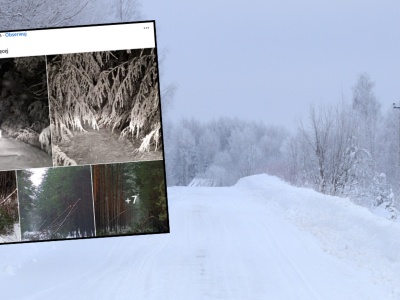 Leśnicy pokazali zdjęcia po opadach śniegu. 