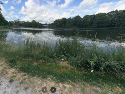 Punkt widokowy, fontanna i zieleń. Tak ma się zmienić Jezioro Kapliczne w Kościerzynie