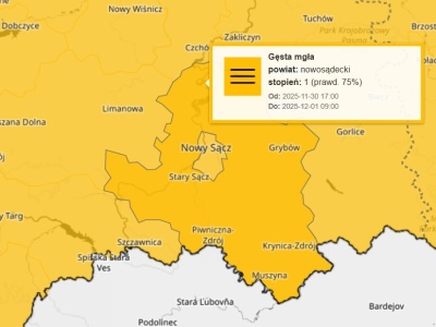 Alarm pogodowy dla Nowego Sącza i Sądecczyzny. Nadciąga gęsta mgła i niebezpieczna śliskość