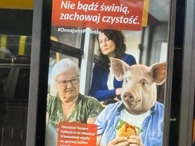 Otyły pasażer z głową świni je w stołecznym autobusie. Fundacja społeczna grzmi na kampanię. 