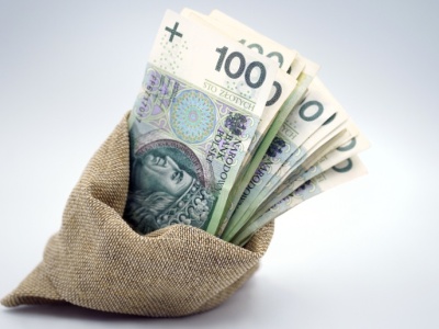 Zaliczki na dopłaty bezpośrednie 2025 wypłacone. Teraz czas na resztę należności