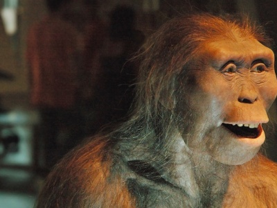 Sensacja w nauce. Odnaleziono nieznanego krewnego Lucy sprzed 3,4 mln lat