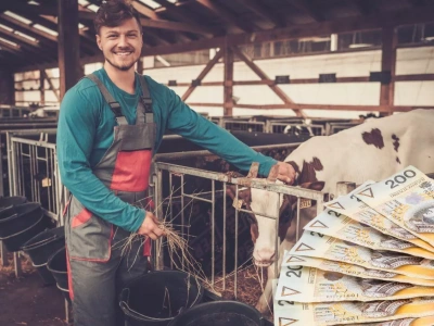 300 tys. zł dla młodego rolnika? Sprawdź, kto naprawdę dostanie te pieniądze