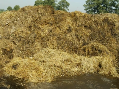 RENURE – nowa generacja nawozów azotowych. Co oznacza dla rolników i dyrektywy azotanowej?