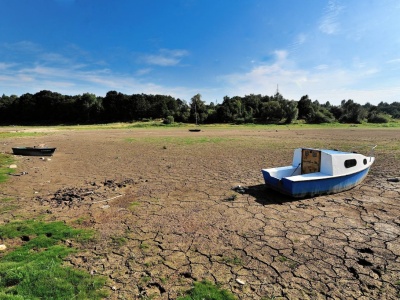 Będziemy musieli zbierać deszczówkę? Smutne wyniki badania. 