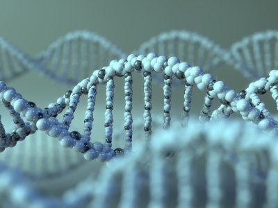 Naukowcy stworzyli czujnik do śledzenia naprawy DNA w żywych komórkach