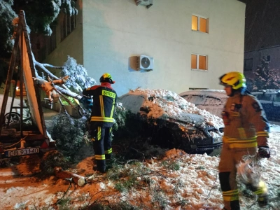 Strażacy mają ochotę do działania, ale system ich nie potrzebuje