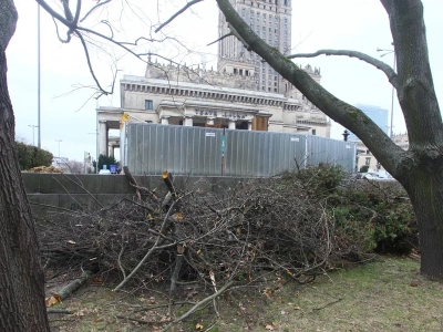 Bójki i alkohol w centrum Warszawy. Tak młodzi Ukraińcy „przejęli” znany park