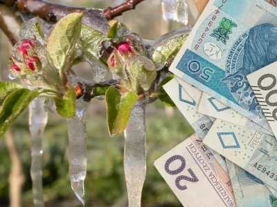 2400 zł do hektara. Ruszył nabór w ARiMR. Kto może dostać pomoc?