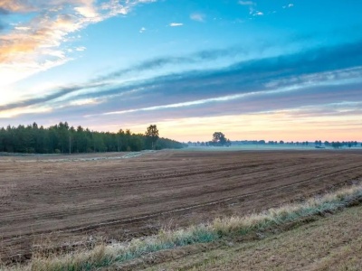 Ponad 11,5 mld zł w zaliczkach już na kontach rolników