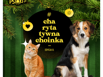 To już 8. edycja akcji #CharytatywnaChoinka – karmimy psiaki