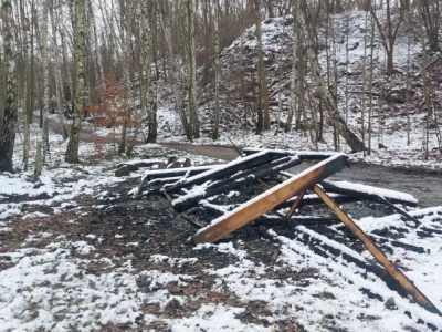 Ktoś podpalił altany w parku w Katowicach. Straty wynoszą kilkadziesiąt tysięcy złotych