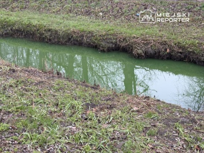 Zielona woda w Potoku Służewieckim zaniepokoiła mieszkańców