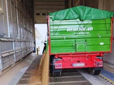 Pszenica droższa nawet o 40 zł. Gdzie są najwyższe ceny zbóż i rzepaku w Polsce?