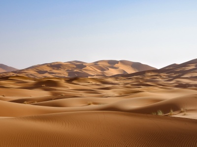 Siedem tysięcy lat w libijskiej skale. Tamtejsze szczątki pochodzą z zapomnianej linii genetycznej