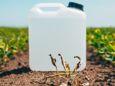 Prezydent podpisał nowelizację ustawy o ochronie roślin przed agrofagami