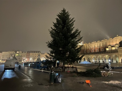 Choinka już na Rynku Głównym (Galeria)