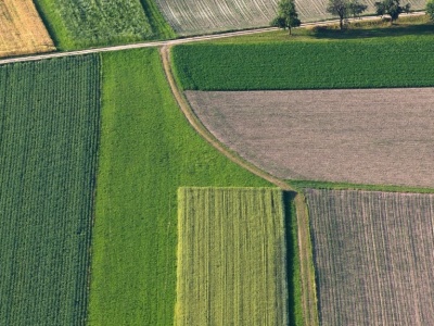 Kolejna pula do wzięcia. Rolnicy, sprawdźcie, jaka ziemia z KOWR trafi na rynek