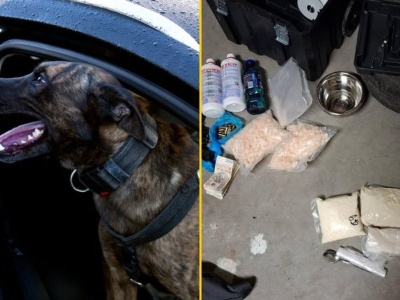 Narkotykowy gang z Podlasia rozbity. Spektakularna akcja policji